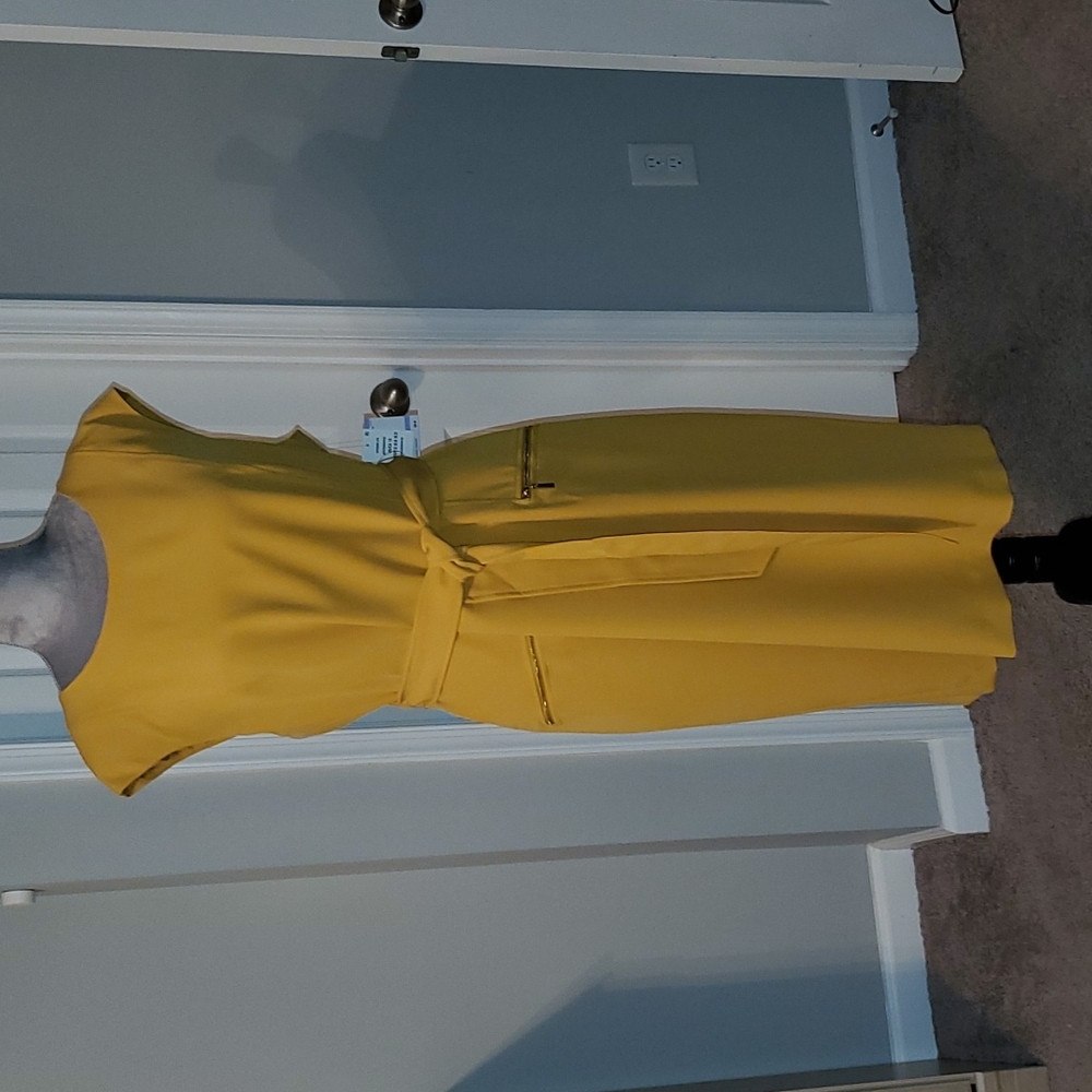 Woman's Mustard Dress